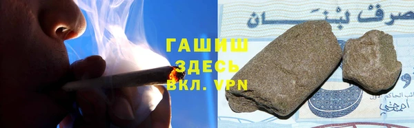 индика Бородино