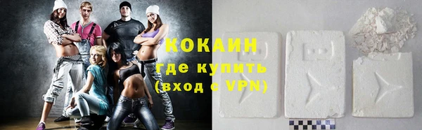 индика Бородино