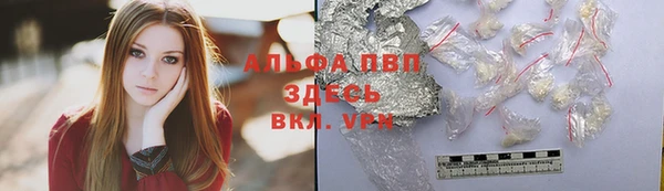 индика Бородино