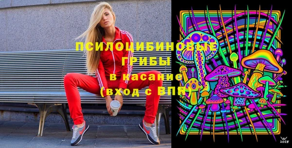 индика Бородино