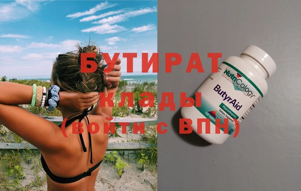индика Бородино