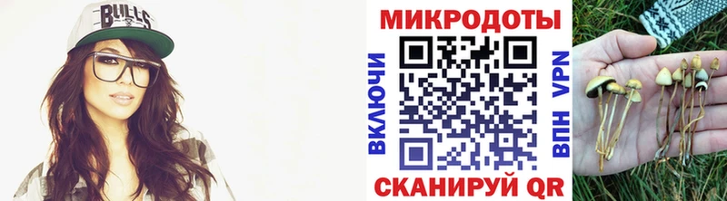 Галлюциногенные грибы мицелий  Купить закладки  Прохладный 