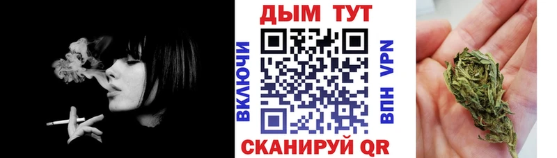 Купить закладки  Прохладный  Конопля VHQ 